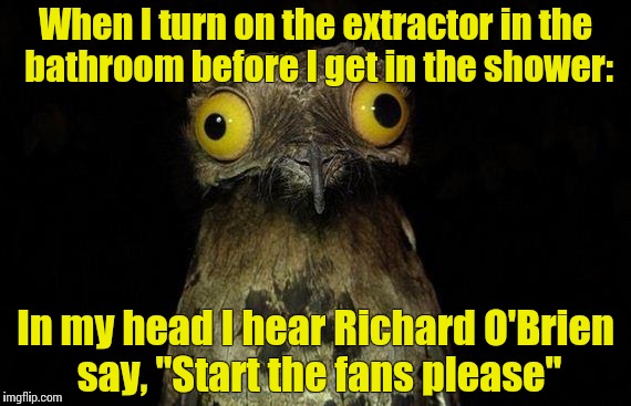 Weird Stuff I Do Potoo | When I turn on the extractor in the bathroom before I get in the shower:; In my head I hear Richard O'Brien say, "Start the fans please" | image tagged in memes,weird stuff i do potoo | made w/ Imgflip meme maker