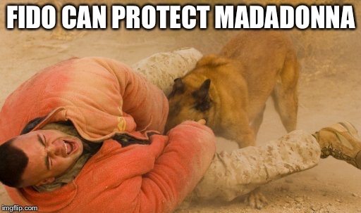 FIDO CAN PROTECT MADADONNA | made w/ Imgflip meme maker