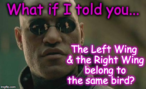 Matrix Morpheus | What if I told you... The Left Wing & the Right Wing belong to the same bird? | image tagged in memes,matrix morpheus | made w/ Imgflip meme maker