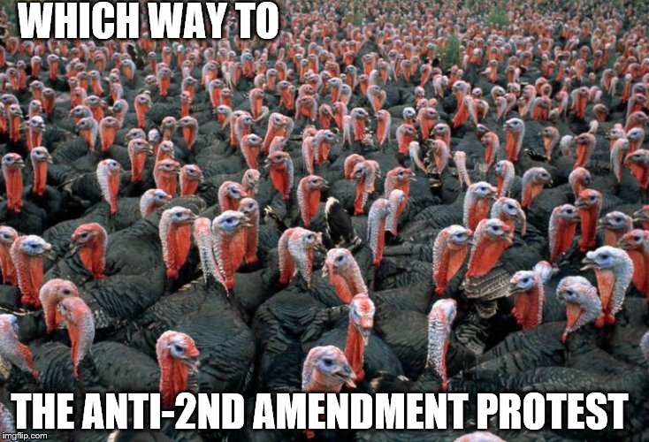 Turkies | WHICH WAY TO; THE ANTI-2ND AMENDMENT PROTEST | image tagged in turkies | made w/ Imgflip meme maker