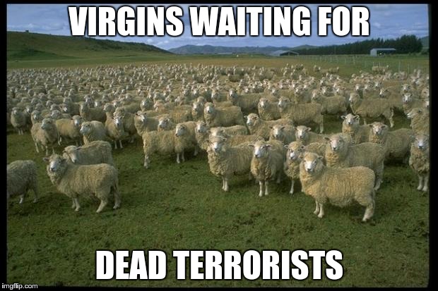 VIRGINS WAITING FOR DEAD TERRORISTS | made w/ Imgflip meme maker