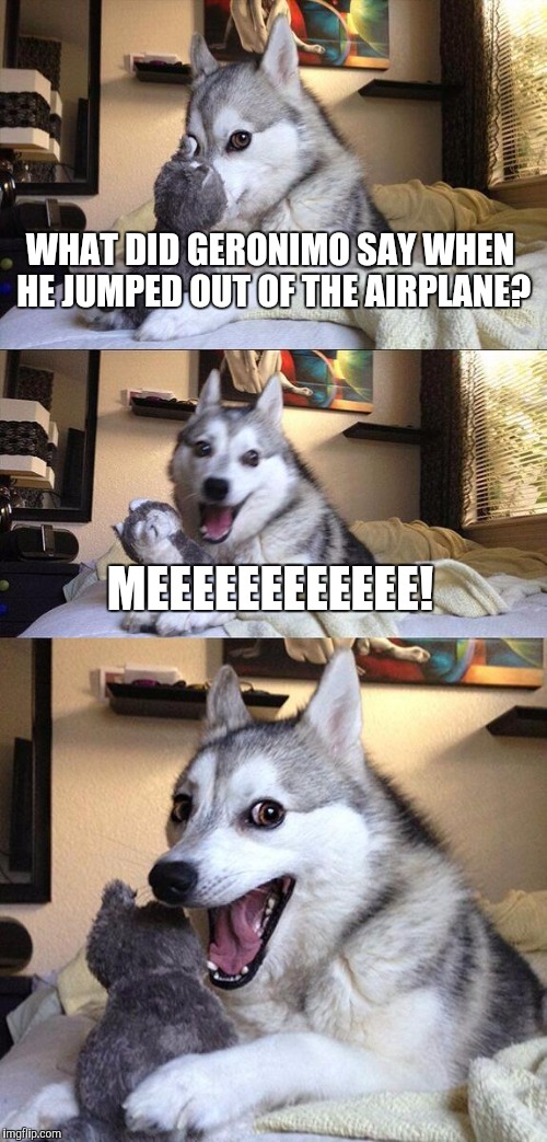 Bad Pun Dog Meme | WHAT DID GERONIMO SAY WHEN HE JUMPED OUT OF THE AIRPLANE? MEEEEEEEEEEEE! | image tagged in memes,bad pun dog | made w/ Imgflip meme maker