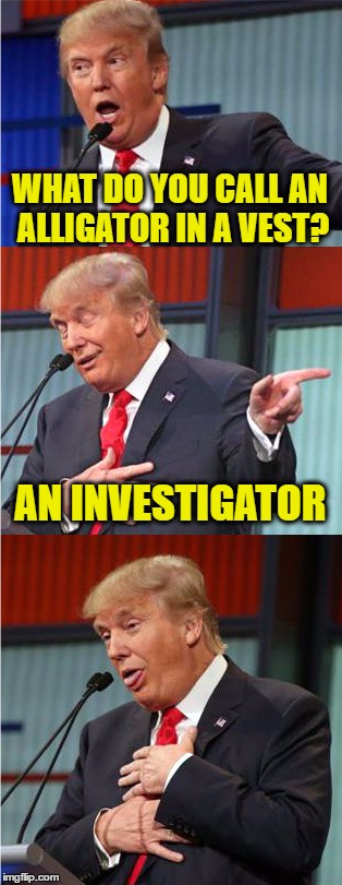 Bad Pun Trump | WHAT DO YOU CALL AN ALLIGATOR IN A VEST? AN INVESTIGATOR | image tagged in bad pun trump | made w/ Imgflip meme maker