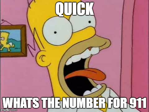 QUICK; WHATS THE NUMBER FOR 911 | image tagged in quick | made w/ Imgflip meme maker