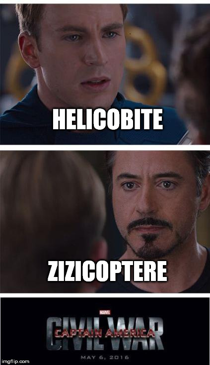 Marvel Civil War 1 Meme | HELICOBITE; ZIZICOPTERE | image tagged in memes,marvel civil war 1 | made w/ Imgflip meme maker