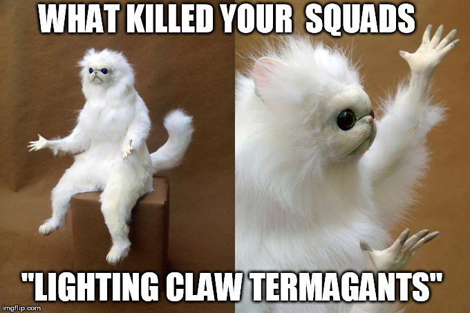 Persian Cat Room Guardian Meme | WHAT KILLED YOUR  SQUADS; "LIGHTING CLAW TERMAGANTS" | image tagged in persian cat room guardian | made w/ Imgflip meme maker