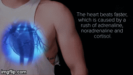 Jantung akan berdetak lebih cepat. Hal ini disebabkan oleh desakan adrenalin, noradrenalin, dan cortisol. (Via: Youtube Buzzfeed.com)