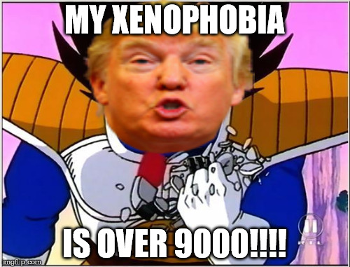 kame hame ha | MY XENOPHOBIA IS OVER 9000!!!! | image tagged in dbz | made w/ Imgflip meme maker