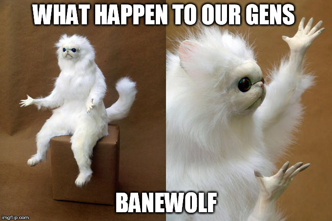 Persian Cat Room Guardian Meme | WHAT HAPPEN TO OUR GENS; BANEWOLF | image tagged in persian cat room guardian | made w/ Imgflip meme maker