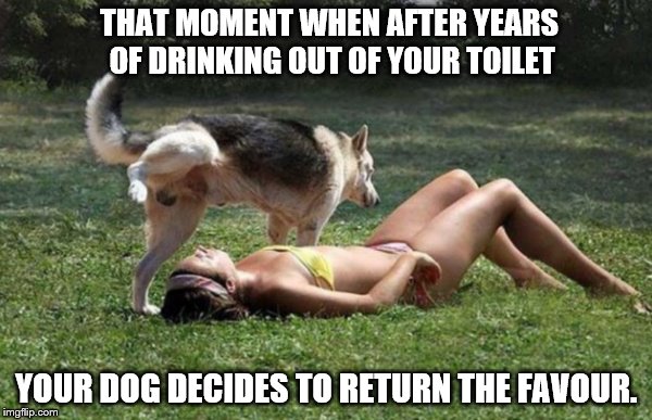 Dog Pees on Girl | THAT MOMENT WHEN AFTER YEARS OF DRINKING OUT OF YOUR TOILET; YOUR DOG DECIDES TO RETURN THE FAVOUR. | image tagged in dog pees on girl | made w/ Imgflip meme maker