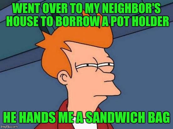 Futurama Fry | WENT OVER TO MY NEIGHBOR'S HOUSE TO BORROW A POT HOLDER; HE HANDS ME A SANDWICH BAG | image tagged in memes,futurama fry | made w/ Imgflip meme maker