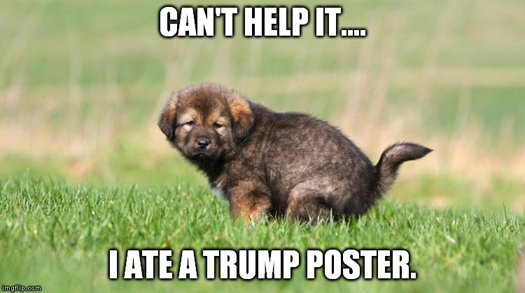 Even the body knows when something is bad and gets rid of it. | CAN'T HELP IT.... I ATE A TRUMP POSTER. | image tagged in puppy pooping | made w/ Imgflip meme maker