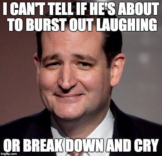 ted cruz | I CAN'T TELL IF HE'S ABOUT TO BURST OUT LAUGHING; OR BREAK DOWN AND CRY | image tagged in ted cruz | made w/ Imgflip meme maker
