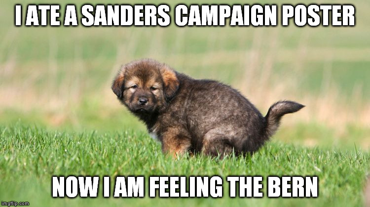 Ouch | I ATE A SANDERS CAMPAIGN POSTER; NOW I AM FEELING THE BERN | image tagged in puppy pooping | made w/ Imgflip meme maker