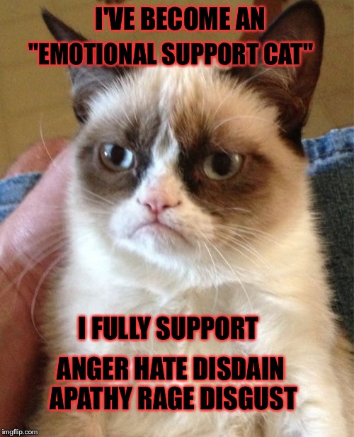 21st century 
Grumpy Cat | I'VE BECOME AN; "EMOTIONAL SUPPORT CAT"; I FULLY SUPPORT; ANGER HATE DISDAIN APATHY RAGE DISGUST | image tagged in memes,grumpy cat,emotions,support | made w/ Imgflip meme maker