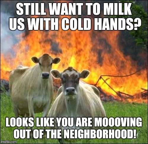 Evil Cows | STILL WANT TO MILK US WITH COLD HANDS? LOOKS LIKE YOU ARE MOOOVING OUT OF THE NEIGHBORHOOD! | image tagged in memes,evil cows | made w/ Imgflip meme maker