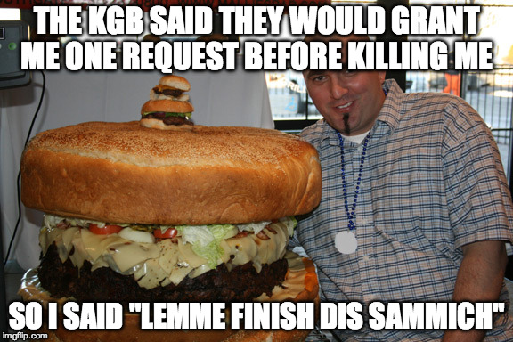 THE KGB SAID THEY WOULD GRANT ME ONE REQUEST BEFORE KILLING ME; SO I SAID "LEMME FINISH DIS SAMMICH" | image tagged in memes,the most interesting man in the world,bad luck brian,first world problems,futurama fry,but thats none of my business | made w/ Imgflip meme maker