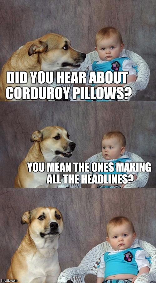 Dad Joke Dog Meme | DID YOU HEAR ABOUT CORDUROY PILLOWS? YOU MEAN THE ONES MAKING ALL THE HEADLINES? | image tagged in memes,dad joke dog | made w/ Imgflip meme maker