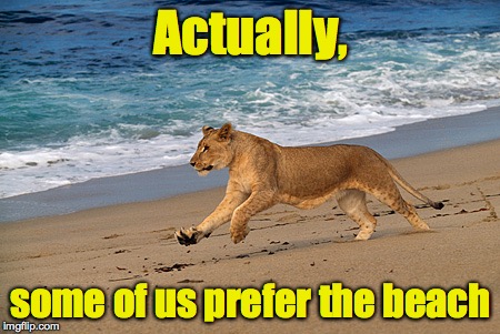 Actually, some of us prefer the beach | made w/ Imgflip meme maker