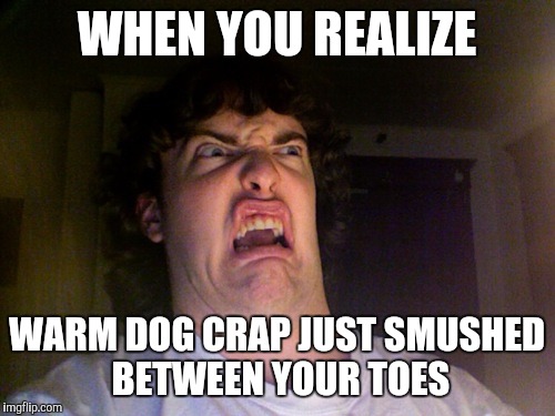 Oh No Meme | WHEN YOU REALIZE; WARM DOG CRAP JUST SMUSHED BETWEEN YOUR TOES | image tagged in memes,oh no | made w/ Imgflip meme maker