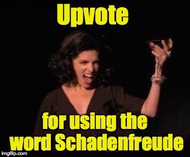 Anna Kendrick Cheers | Upvote for using the word Schadenfreude | image tagged in anna kendrick cheers | made w/ Imgflip meme maker