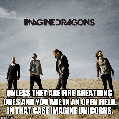 Imagine Dragons | UNLESS THEY ARE FIRE BREATHING ONES AND YOU ARE IN AN OPEN FIELD. IN THAT CASE IMAGINE UNICORNS. | image tagged in imagine dragons | made w/ Imgflip meme maker