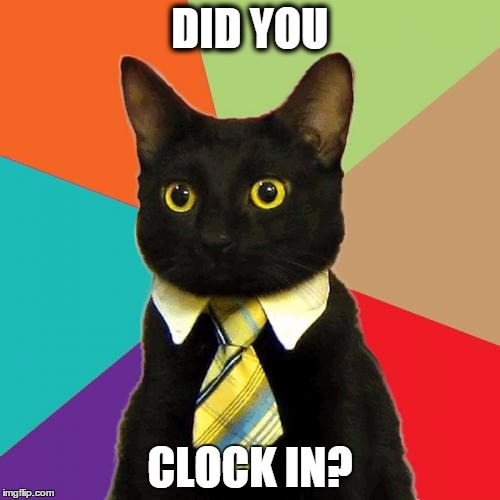 Business Cat | DID YOU; CLOCK IN? | image tagged in memes,business cat | made w/ Imgflip meme maker