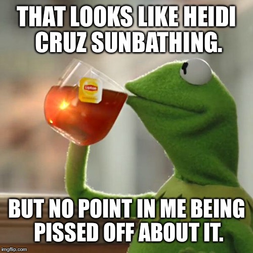 But That's None Of My Business Meme | THAT LOOKS LIKE HEIDI CRUZ SUNBATHING. BUT NO POINT IN ME BEING PISSED OFF ABOUT IT. | image tagged in memes,but thats none of my business,kermit the frog | made w/ Imgflip meme maker