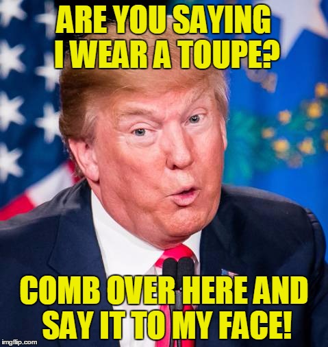 ARE YOU SAYING I WEAR A TOUPE? COMB OVER HERE AND SAY IT TO MY FACE! | image tagged in hair hitler | made w/ Imgflip meme maker