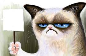 High Quality Grumpy Cat sign Blank Meme Template