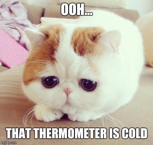 Vet cat... | OOH... THAT THERMOMETER IS COLD | image tagged in sad cat,memes,funny memes | made w/ Imgflip meme maker