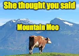 She thought you said Mountain Moo | made w/ Imgflip meme maker