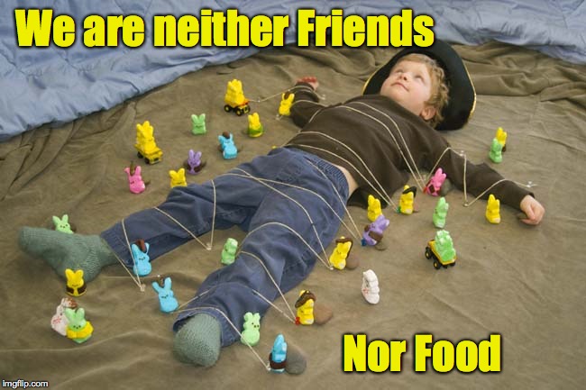 We are neither Friends Nor Food | made w/ Imgflip meme maker