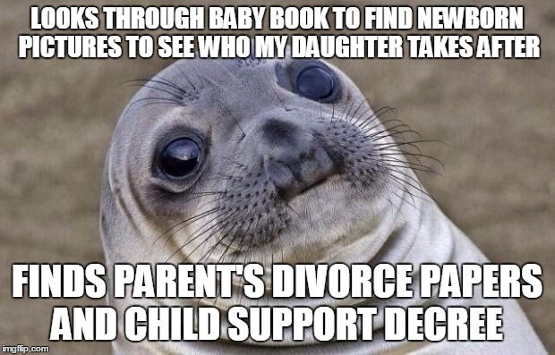 Awkward Moment Sealion Meme | LOOKS THROUGH BABY BOOK TO FIND NEWBORN PICTURES TO SEE WHO MY DAUGHTER TAKES AFTER; FINDS PARENT'S DIVORCE PAPERS AND CHILD SUPPORT DECREE | image tagged in memes,awkward moment sealion,AdviceAnimals | made w/ Imgflip meme maker