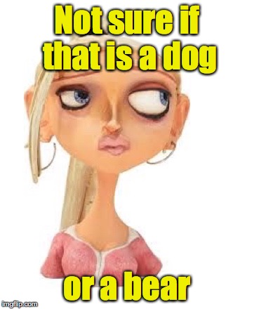 Paranorman Courtney | Not sure if that is a dog or a bear | image tagged in paranorman courtney | made w/ Imgflip meme maker