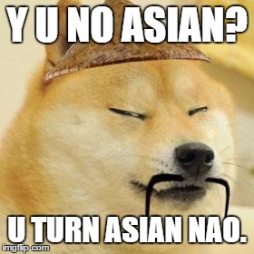asian doge | Y U NO ASIAN? U TURN ASIAN NAO. | image tagged in asian doge | made w/ Imgflip meme maker
