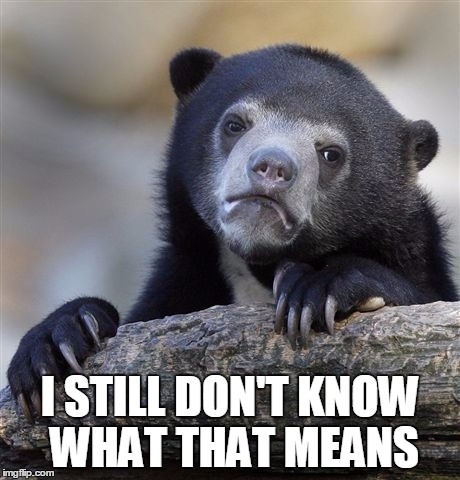 Confession Bear Meme | I STILL DON'T KNOW WHAT THAT MEANS | image tagged in memes,confession bear | made w/ Imgflip meme maker
