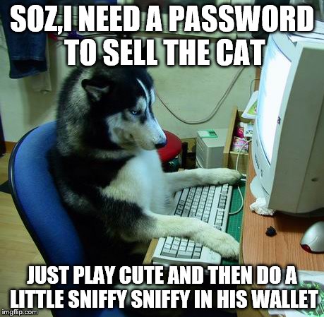 I Have No Idea What I Am Doing Meme | SOZ,I NEED A PASSWORD TO SELL THE CAT; JUST PLAY CUTE AND THEN DO A LITTLE SNIFFY SNIFFY IN HIS WALLET | image tagged in memes,i have no idea what i am doing | made w/ Imgflip meme maker