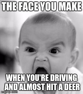 This happened to me, i almost had a heart attack at 16 |  THE FACE YOU MAKE; WHEN YOU'RE DRIVING AND ALMOST HIT A DEER | image tagged in memes,angry baby | made w/ Imgflip meme maker