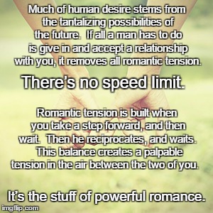 Love Is Powerful | Much of human desire stems from the tantalizing possibilities of the future.  If all a man has to do is give in and accept a relationship with you, it removes all romantic tension. There’s no speed limit. Romantic tension is built when you take a step forward, and then wait.  Then he reciprocates, and waits.  This balance creates a palpable tension in the air between the two of you. It’s the stuff of powerful romance. | image tagged in romance 1 | made w/ Imgflip meme maker