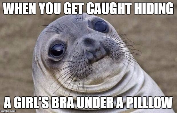 Awkward Moment Sealion | WHEN YOU GET CAUGHT HIDING; A GIRL'S BRA UNDER A PILLLOW | image tagged in memes,awkward moment sealion | made w/ Imgflip meme maker