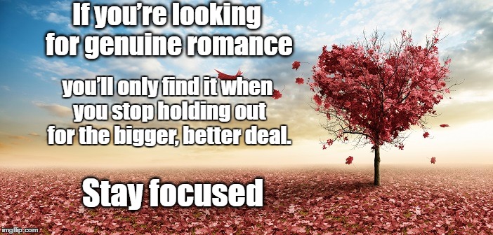 Genuine Love | If you’re looking for genuine romance; you’ll only find it when you stop holding out for the bigger, better deal. Stay focused | image tagged in nature,i love you,romance | made w/ Imgflip meme maker