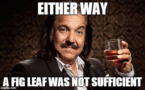 EITHER WAY A FIG LEAF WAS NOT SUFFICIENT | made w/ Imgflip meme maker