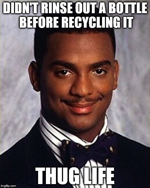 Thug Life | DIDN'T RINSE OUT A BOTTLE BEFORE RECYCLING IT; THUG LIFE | image tagged in carlton banks thug life,memes | made w/ Imgflip meme maker