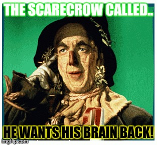 THE SCARECROW CALLED.. HE WANTS HIS BRAIN BACK! | image tagged in scarecrow,brain | made w/ Imgflip meme maker
