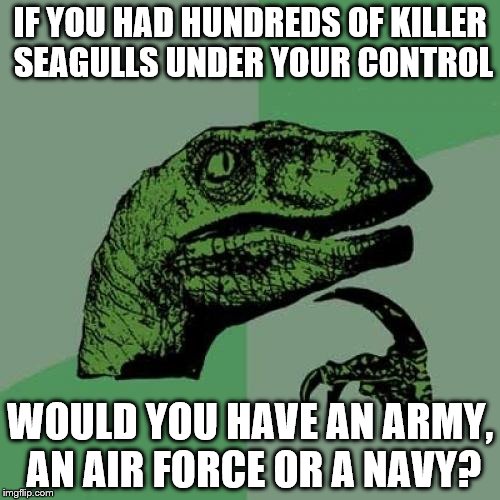 A repost of an old meme of mine (caused by an empty head...) | IF YOU HAD HUNDREDS OF KILLER SEAGULLS UNDER YOUR CONTROL; WOULD YOU HAVE AN ARMY, AN AIR FORCE OR A NAVY? | image tagged in memes,philosoraptor,animals | made w/ Imgflip meme maker