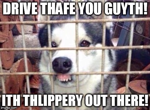 Fiberian Hufky | DRIVE THAFE YOU GUYTH! ITH THLIPPERY OUT THERE! | image tagged in fiberian hufky,icy roads,slick roads,winter storm,snowy roads,winter driving | made w/ Imgflip meme maker