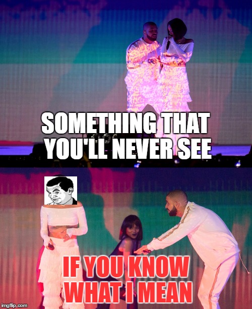 Rihanna If you know what I mean | SOMETHING THAT YOU'LL NEVER SEE; IF YOU KNOW WHAT I MEAN | image tagged in if you know what i mean bean,rihanna | made w/ Imgflip meme maker