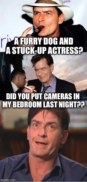 A FURRY DOG AND A STUCK-UP ACTRESS? DID YOU PUT CAMERAS IN MY BEDROOM LAST NIGHT?? | made w/ Imgflip meme maker