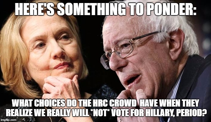 Hillary and Bernie | HERE'S SOMETHING TO PONDER:; WHAT CHOICES DO THE HRC CROWD  HAVE WHEN THEY REALIZE WE REALLY WILL *NOT* VOTE FOR HILLARY, PERIOD? | image tagged in hillary and bernie | made w/ Imgflip meme maker